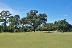 Houston Oaks 17th Fairway